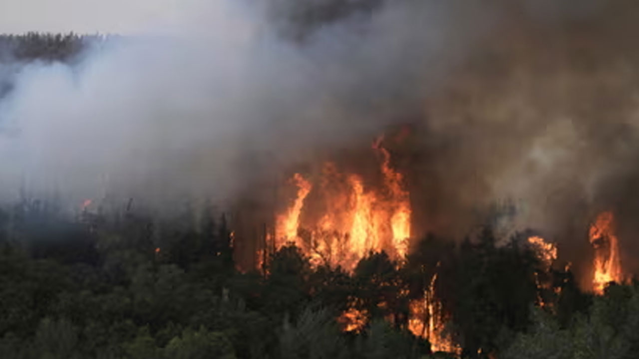 Foto - İşte soykırımcı İsrail'e yardım gönderen ülkeler! Liste kimler var kimler...