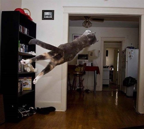 Foto - İşte tam o anda çekilen fotoğraflar