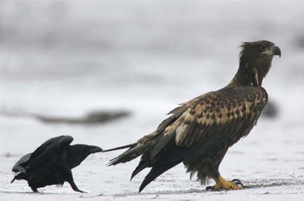 Foto - İşte tam o anda çekilen fotoğraflar