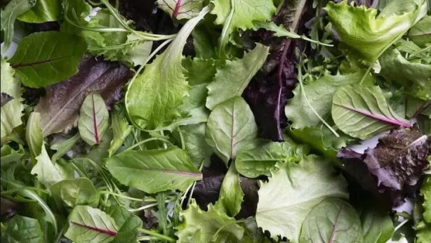 İşte tarihi geçse bile tüketilebilecek besinler! Kimse bunları bilmiyor