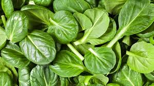 Foto - İşte tüketilmesi gereken besinler! Kansızlıkla savaşmak isteyenlere bire bir