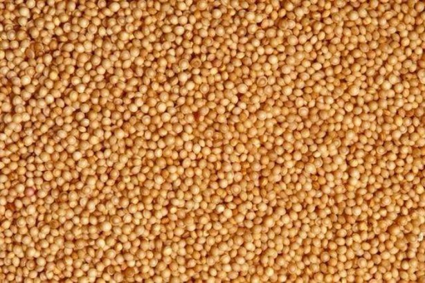 Foto - İşte tüm zamanların en sağlıklı besinleri