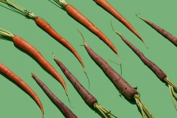 Foto - İşte tüm zamanların en sağlıklı besinleri