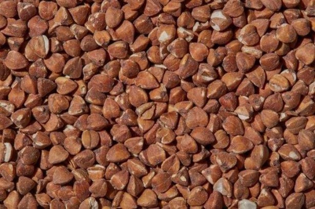 Foto - İşte tüm zamanların en sağlıklı besinleri