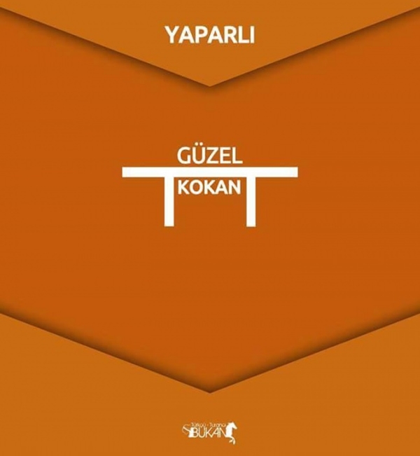 Foto - İşte Türk boylarının kullandığı simgeler 