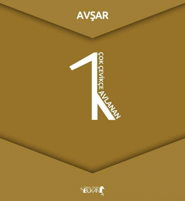 Foto - İşte Türk boylarının kullandığı simgeler 