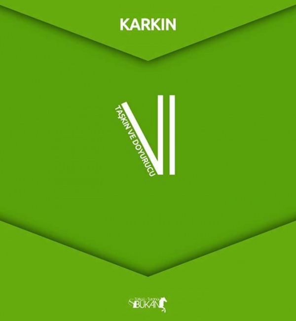 Foto - İşte Türk boylarının kullandığı simgeler 