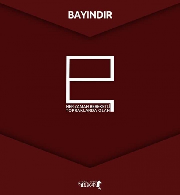 Foto - İşte Türk boylarının kullandığı simgeler 