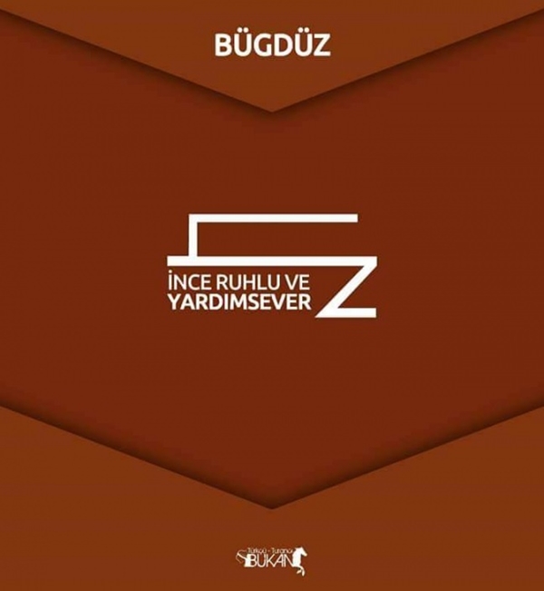 Foto - İşte Türk boylarının kullandığı simgeler 