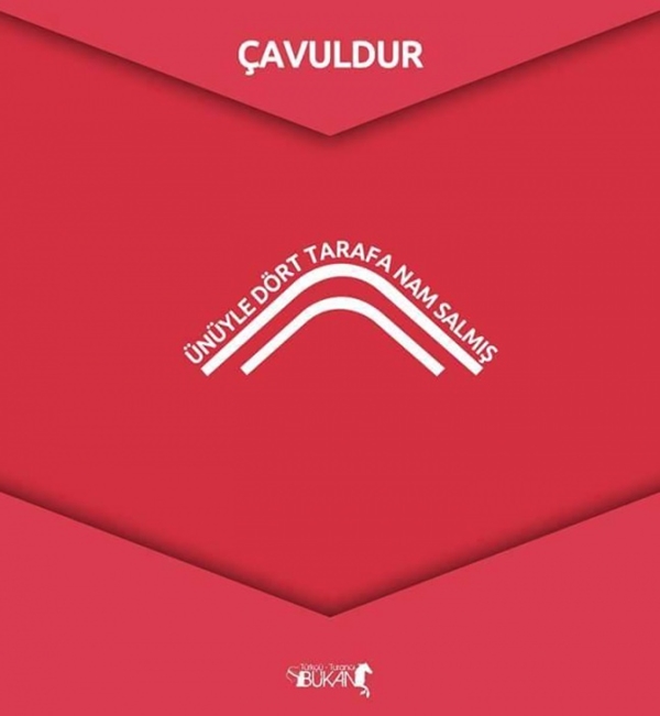 Foto - İşte Türk boylarının kullandığı simgeler 