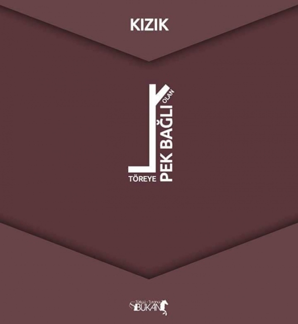 Foto - İşte Türk boylarının kullandığı simgeler 