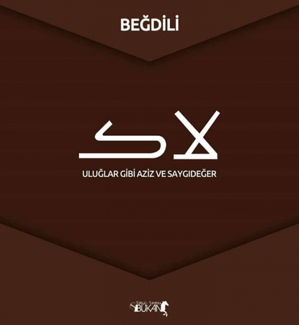 Foto - İşte Türk boylarının kullandığı simgeler 