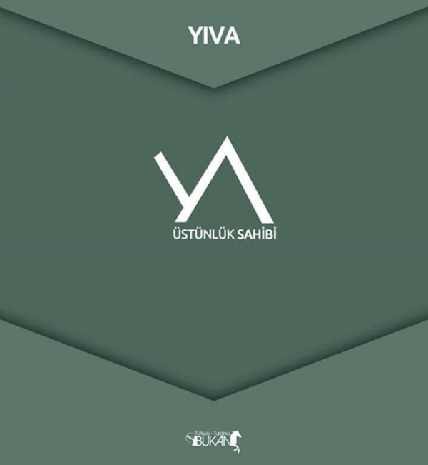 Foto - İşte Türk boylarının kullandığı simgeler 