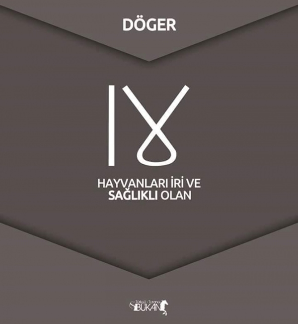 Foto - İşte Türk boylarının kullandığı simgeler 