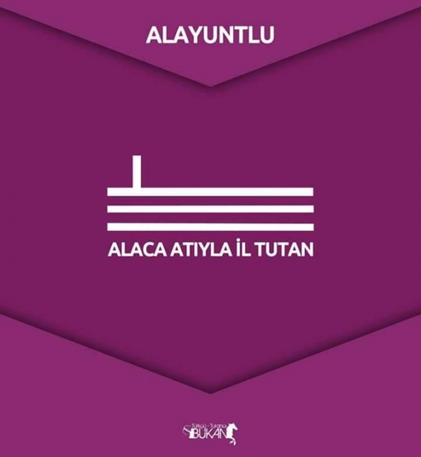 Foto - İşte Türk boylarının kullandığı simgeler 