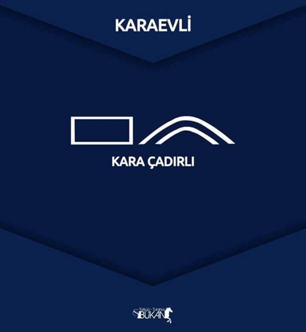 Foto - İşte Türk boylarının kullandığı simgeler 