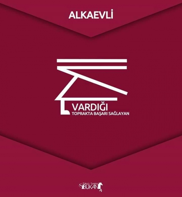 Foto - İşte Türk boylarının kullandığı simgeler 