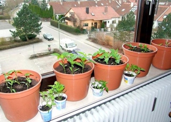 Foto - İşte Türk evlerinin olmazsa olmazları