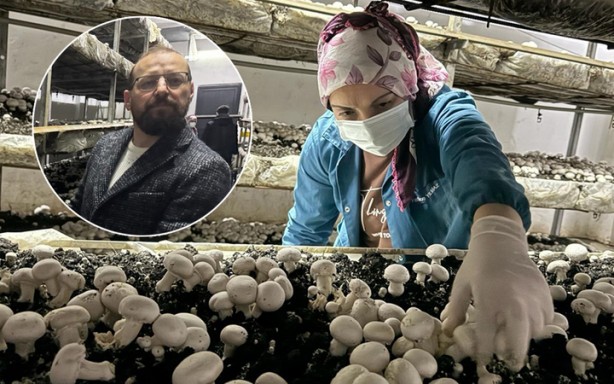 Foto - İşte Türk zekâsı! O sektörde boşluğu tespit edince bu işe başladı! Şimdi çuvalla para kazanıyor! 24 yıllık mimar, bakın şimdi ne iş yapıyor