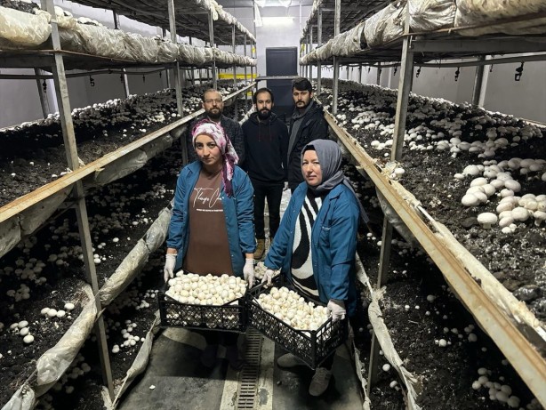 Foto - İşte Türk zekâsı! O sektörde boşluğu tespit edince bu işe başladı! Şimdi çuvalla para kazanıyor! 24 yıllık mimar, bakın şimdi ne iş yapıyor