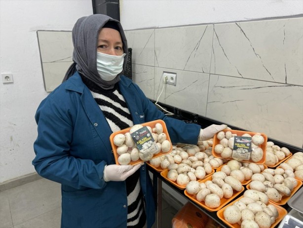 Foto - İşte Türk zekâsı! O sektörde boşluğu tespit edince bu işe başladı! Şimdi çuvalla para kazanıyor! 24 yıllık mimar, bakın şimdi ne iş yapıyor
