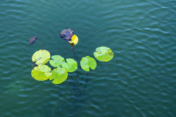 Foto - İşte, Türkiye'nin en büyük göleti