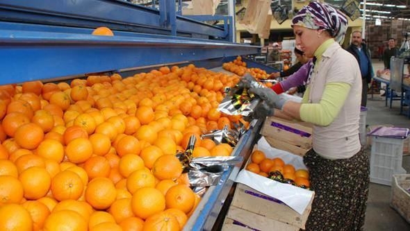 Foto - İşte Türkiye'nin en çok ihracaat yaptığı 20 ülke