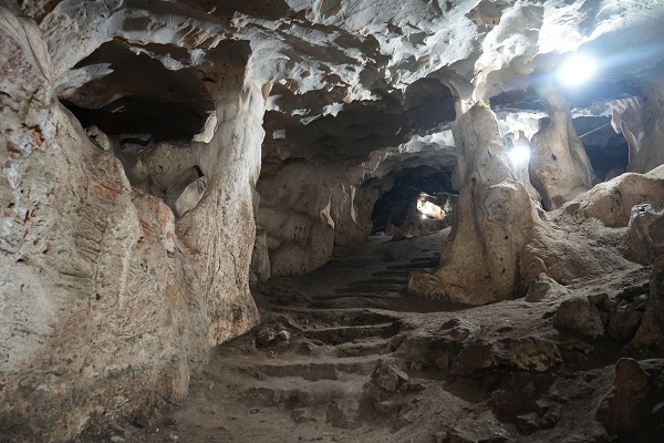 Foto - İşte Türkiye'nin en yaşlı boz ayı kalıntısı