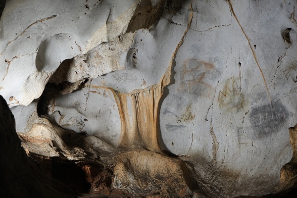 Foto - İşte Türkiye'nin en yaşlı boz ayı kalıntısı