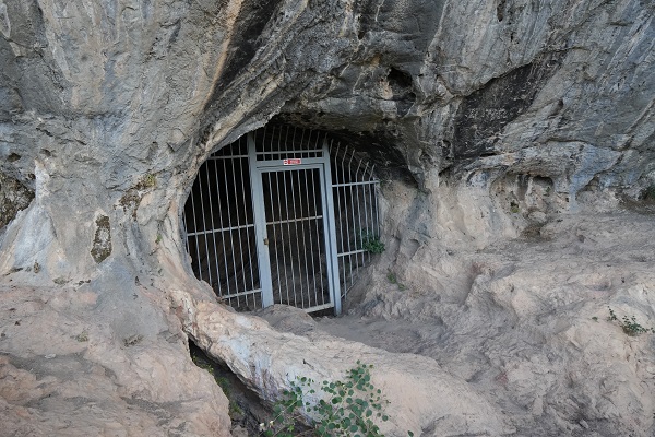 Foto - İşte Türkiye'nin en yaşlı boz ayı kalıntısı