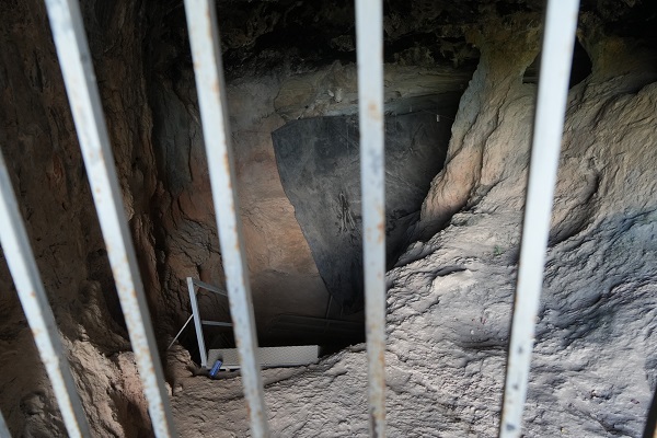Foto - İşte Türkiye'nin en yaşlı boz ayı kalıntısı