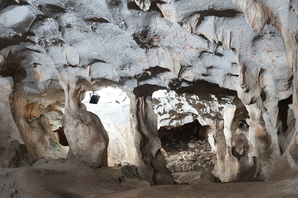 Foto - İşte Türkiye'nin en yaşlı boz ayı kalıntısı