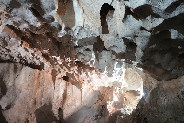Foto - İşte Türkiye'nin en yaşlı boz ayı kalıntısı