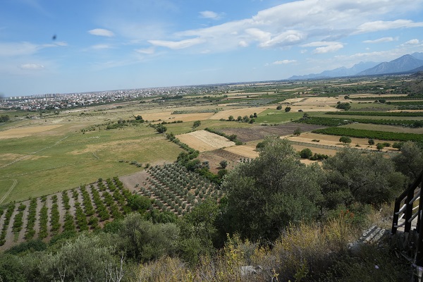 Foto - İşte Türkiye'nin en yaşlı boz ayı kalıntısı