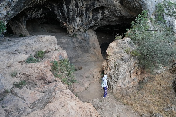 İşte Türkiye'nin en yaşlı boz ayı kalıntısı