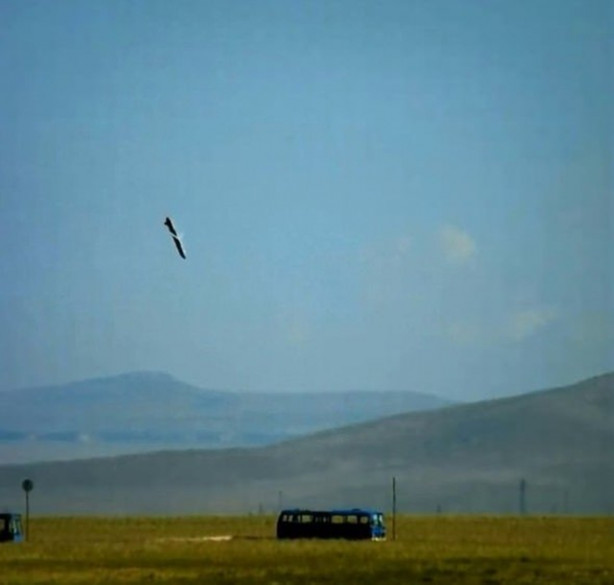 Foto - İşte Türkiye'nin en yeni canavarları!