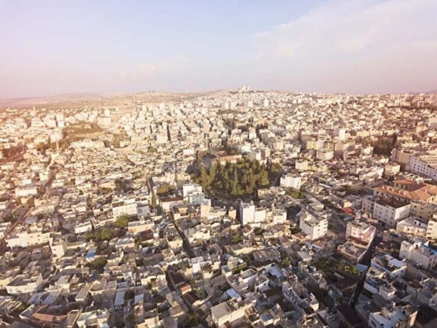 Foto - İşte Türkiye'nin en yerli ili... İlk sıradaki herkesi şaşırttı