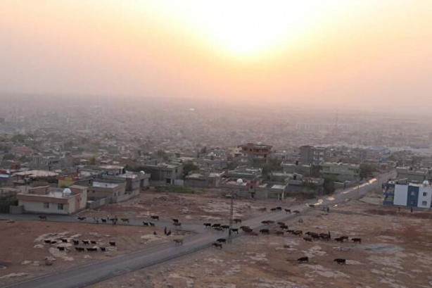 Foto - İşte Türkiye'nin en yerli ili... İlk sıradaki herkesi şaşırttı