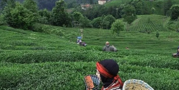Foto - İşte Türkiye'nin yaşam süresi en uzun ili! TÜİK verileri açıklandı: Rekor bu ilde