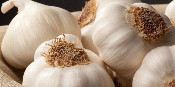 Foto - İşte varise savaş açan doğal yöntem: Evde sarımsak ile varis tedavisi
