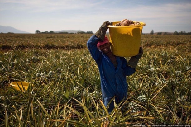 Foto - İşte vizesiz gidebileceğiniz ülkeler