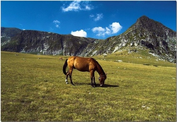 Foto - İşte vizesiz gidebileceğiniz ülkeler