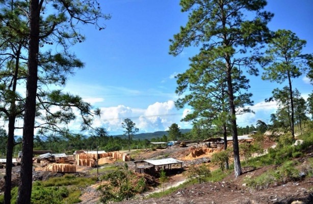 Foto - İşte vizesiz gidebileceğiniz ülkeler