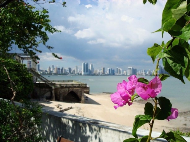 Foto - İşte vizesiz gidebileceğiniz ülkeler