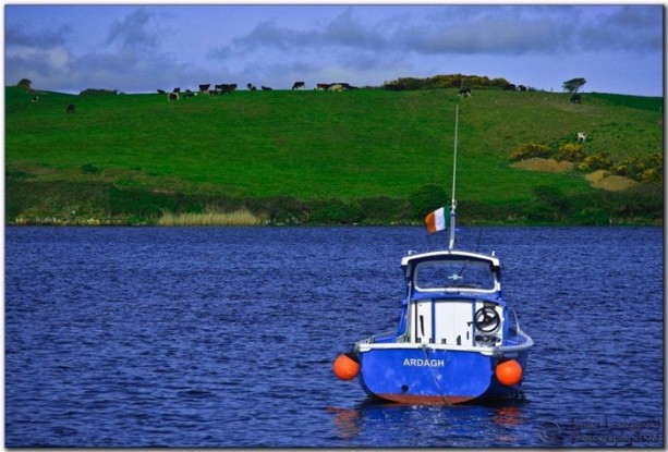 Foto - İşte vizesiz gidebileceğiniz ülkeler