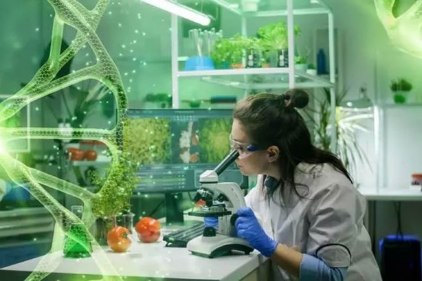 Foto - İşte yapay zekanın düşünme sistemi! Açıklandı…