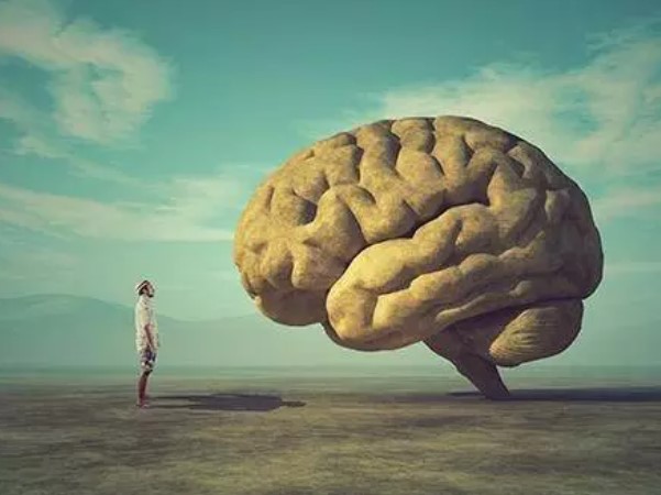 Foto - İşte zeka ortalaması en yüksek iller! Sizin memleketiniz kaçıncı sırada?