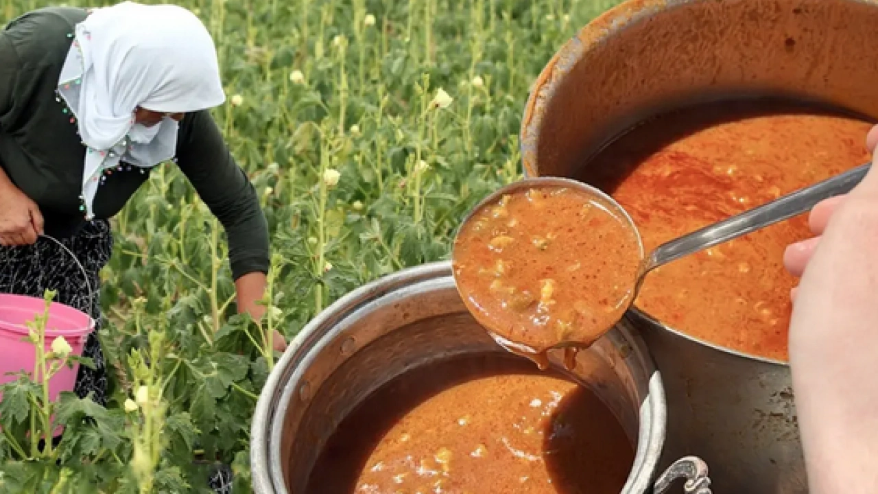 Foto - İster çorbasını ister yemeğini yap: Kalbi saat gibi çalıştırıyor! 