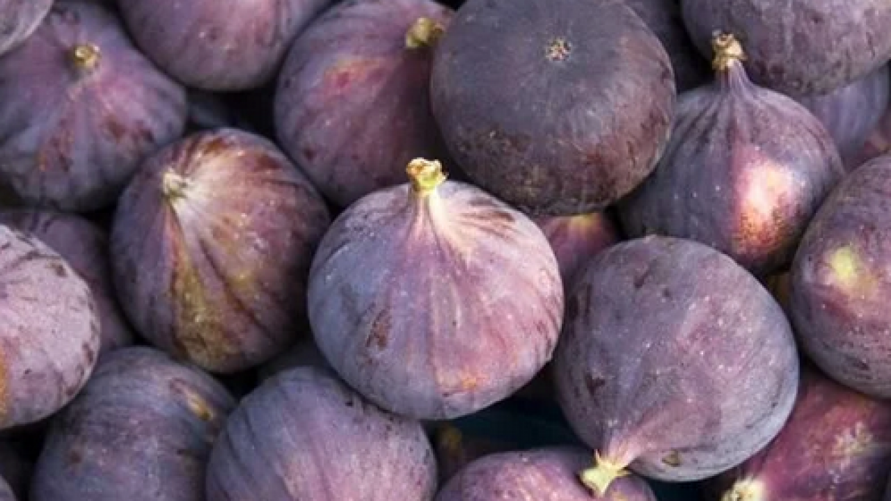 Foto - İster yaş ister kuru tüketin: Kilosu 300 lira! Sadece enerji vermekle kalmıyor