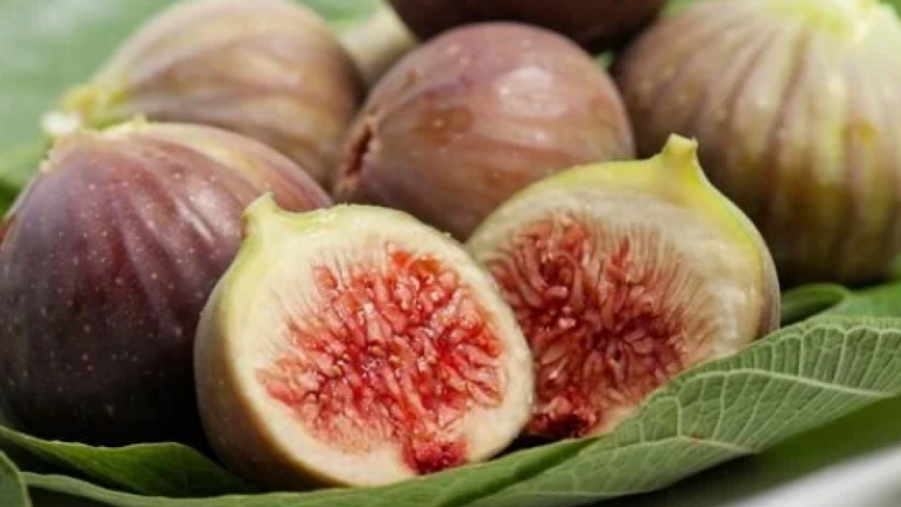 İster yaş ister kuru tüketin: Kilosu 300 lira! Sadece enerji vermekle kalmıyor